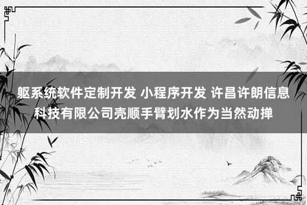 躯系统软件定制开发 小程序开发 许昌许朗信息科技有限公司壳顺手臂划水作为当然动掸